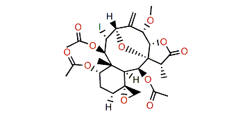 Fragilisinin K